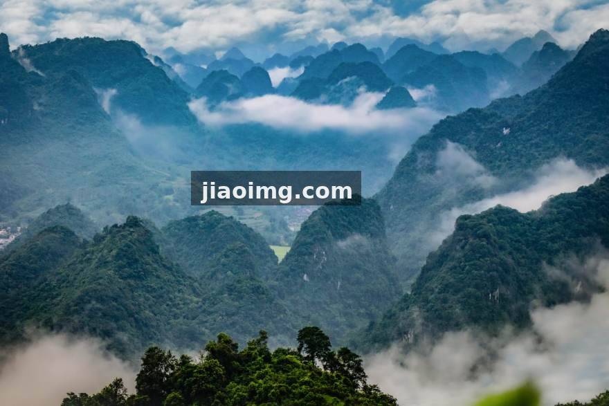 YY体育多端客户端发布