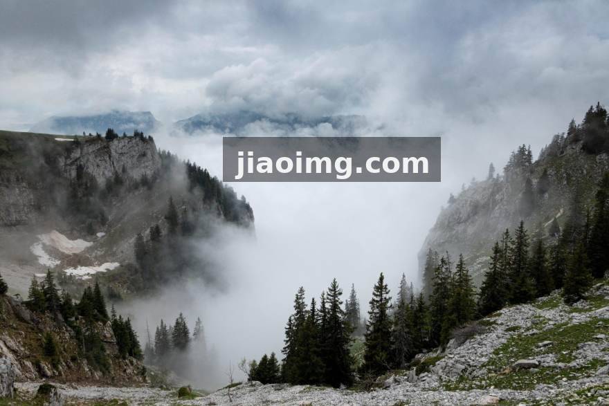 复盘与观察：篮球末节轮换缩短后，替补席贡献该怎么重新评估